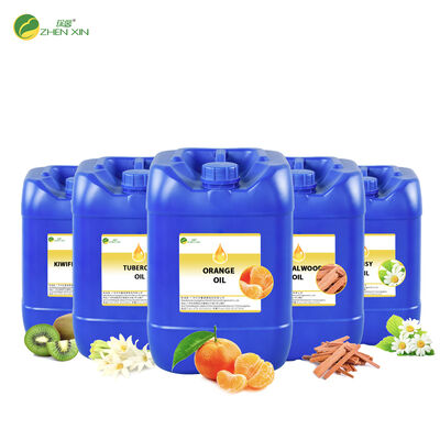 High Quality Perfume Essential Oil Designer Perfume Fragrance Wholesale Arabic Perfume Oil Concentrated Scented Oils for Women