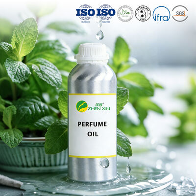 Eco Friendly Brand Perfume Oil Long Lasting Perfume Fragrance Wholesale